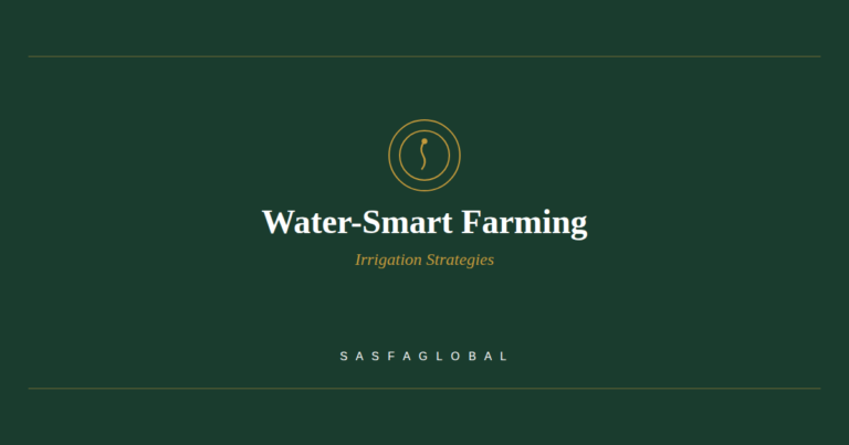 Water-smart irrigation strategies for African agriculture